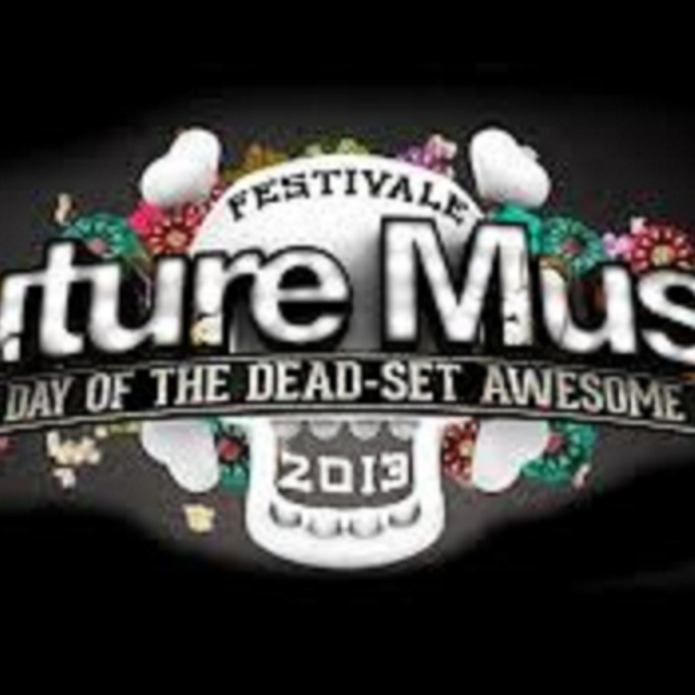Future Music Festival 2013