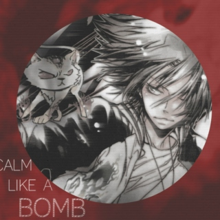 Calm Like A Bomb