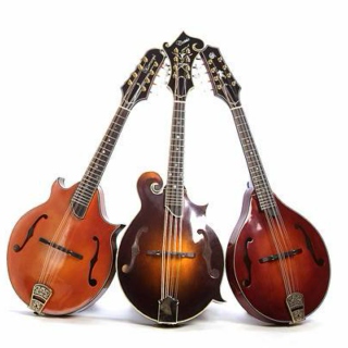 Mandolin, Banjo, Guitar and other instruments (mostly acoustic)