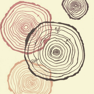 Growth Rings.