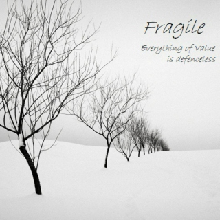 Fragile - Everything of Value is defenceless