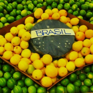 Brazilian Sun pt I - Paixão