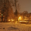 Cosy Winter Nights
