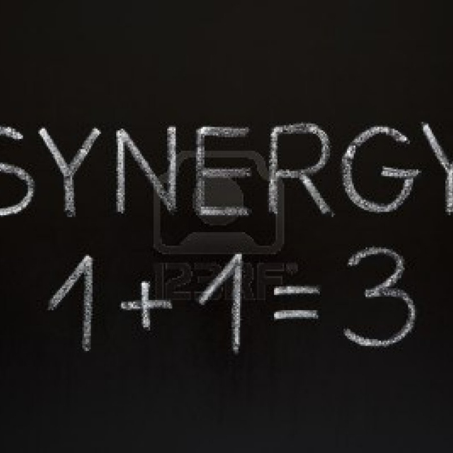why 1+1 = total synergy