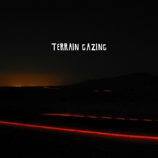 Terrain Gazing