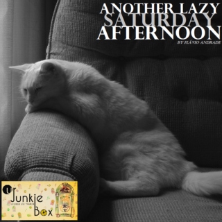 ANOTHER LAZY SATURDAY AFTERNOON (by Flavio Andrade)