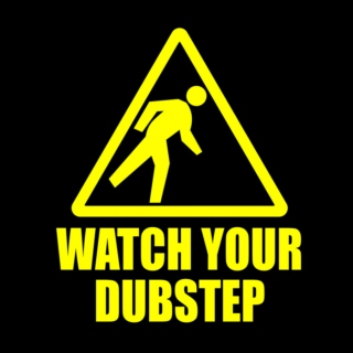 That one dubstep party...