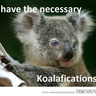 Koalafications