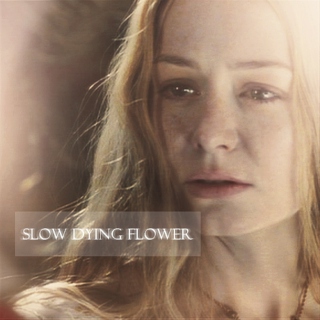 slow dying flower