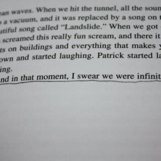 In That Moment, We Were Infinite