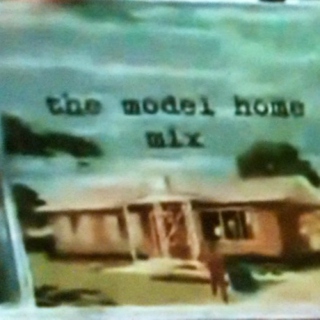 the model home mix 