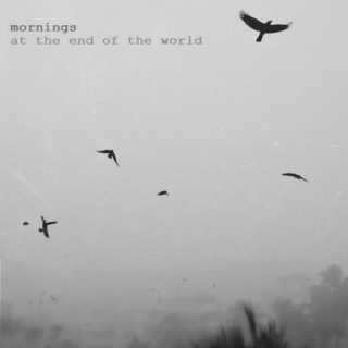 mornings at the end of the world
