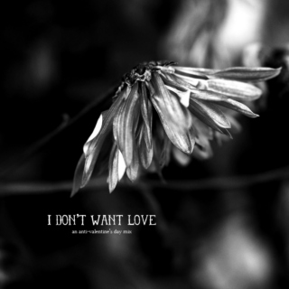 I Don't Want Love