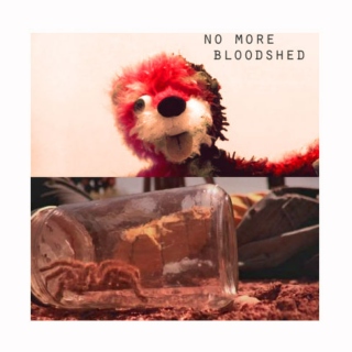 no more bloodshed