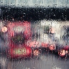 That rainy bus ride