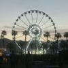 Coachella 2013!