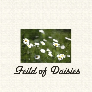 Field of Daises