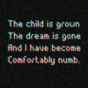 the child is grown the dream is gone