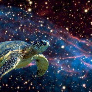Space Turtle Lullaby.