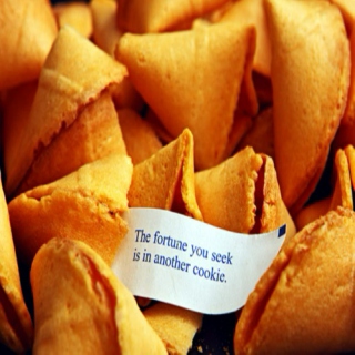 The Fortune You Seek Is In Another Cookie