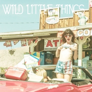 wild little things