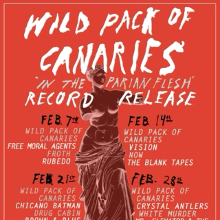 Wild Pack of Canaries - The Mix