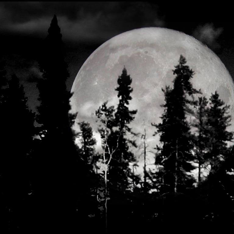 moon_by_nyktalgia-5942.jpg