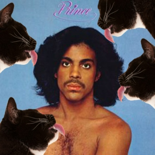 Covered Vol. 11 - Prince Edition