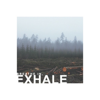 breathe in, exhale