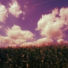 Clouds + Cornfields
