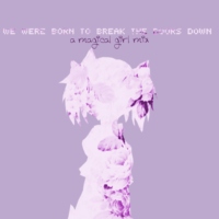 we were born to break the doors down - a magical girl mix