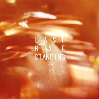 last rat standing