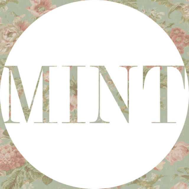 MINT Magazine // Premier
