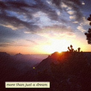 more than just a dream