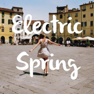 Electric Spring