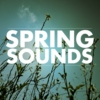 Spring Sounds