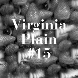 Virginia Plain #15