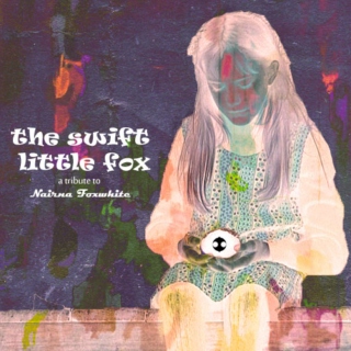 The swift little fox