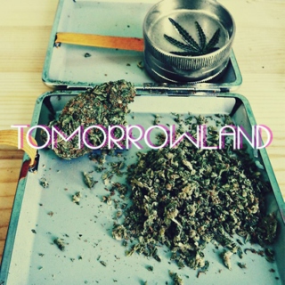 Tomorrowland KNOWS