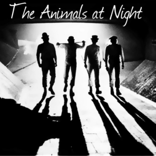 The Animals at Night