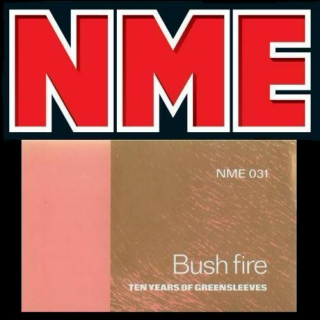 NME031 - Bush Fire