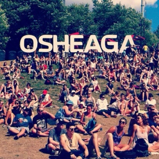 Osheaga 2013 Personal Picks