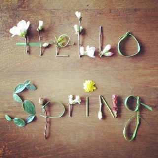 spring time is here ✿