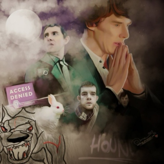 The Hounds of Baskerville