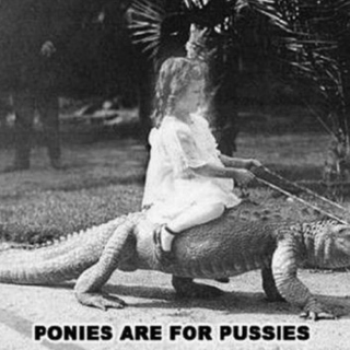 ponies are for pussies