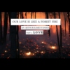 our love is like a forest fire: part three (love)