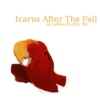 Icarus After The Fall - An Edward Elric FST