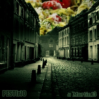 Pest(®)o 6: Into The Night