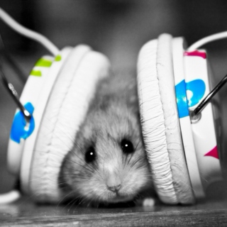 Hamster Music