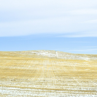 Roadtrippin' through Alberta Prairies 
